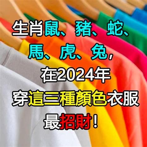 屬鼠財位|生肖鼠：財位在哪裡？最佳旺運方位，幸運數字